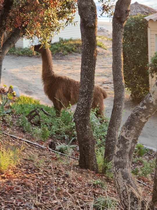 Gartenanlage Domaine Naturiste de Riva Bella