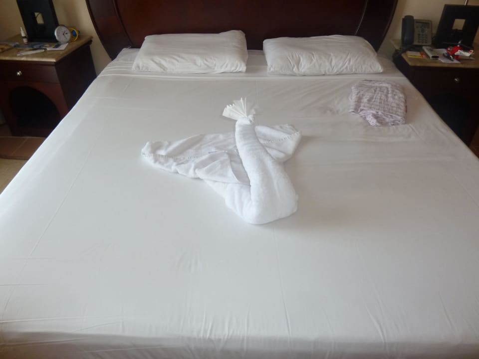 Surprise vom Reinigungsmann  Stella Beach Resort & Spa Makadi Bay