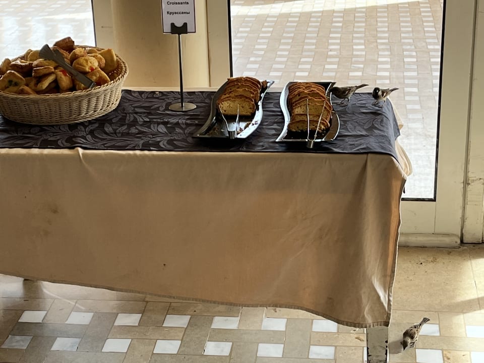 Gastro Grand Waterworld Makadi & Family Star Makadi