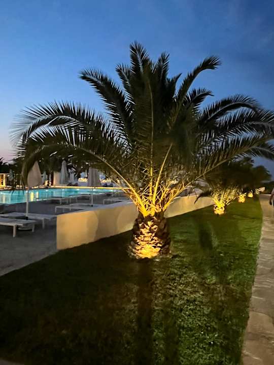 Pool Kassandra Palace Seaside Resort