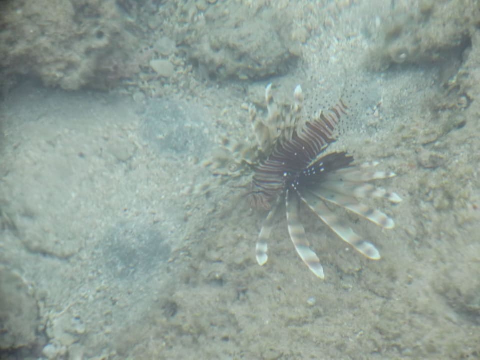 Strand Stella Garden Resort & Spa, Makadi Bay