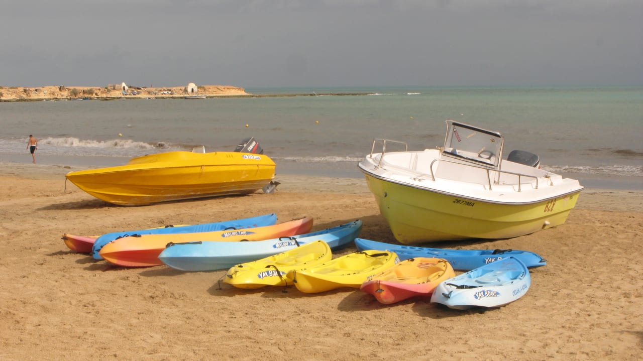 À ne pas manquer, génial! Vincci Safira Palms