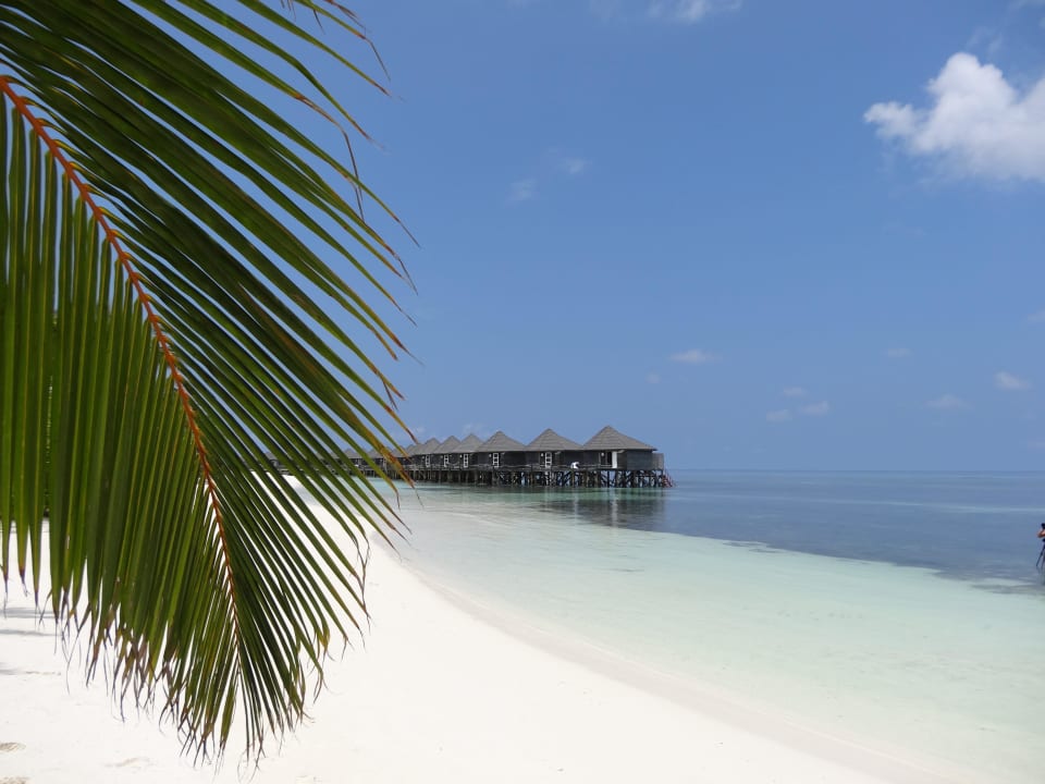 Traumhaft Kuredu Island Resort & Spa