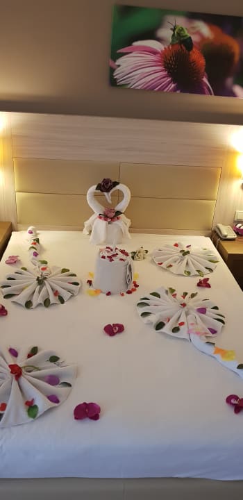 Zimmer Side Prenses Resort & Spa