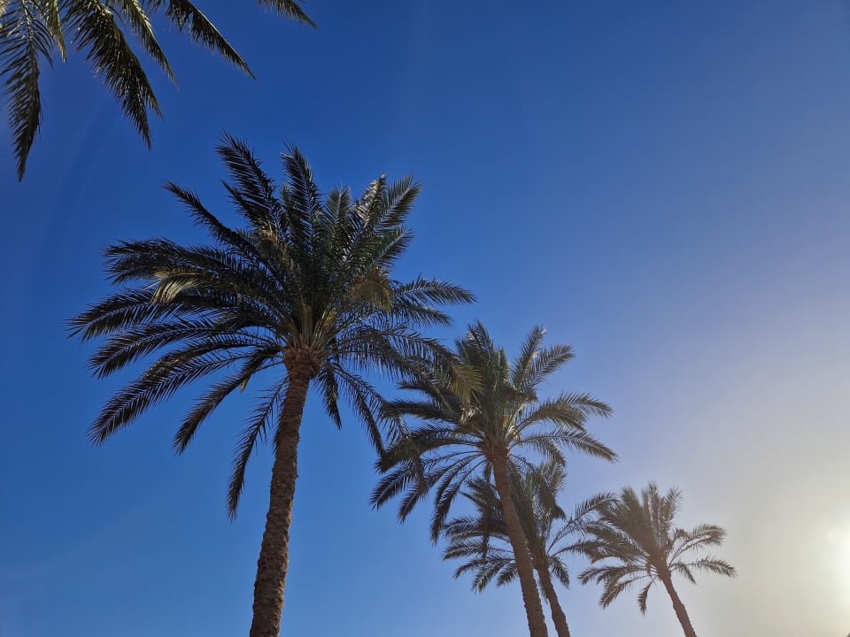 Außenansicht Cleopatra Luxury Resort Makadi Bay