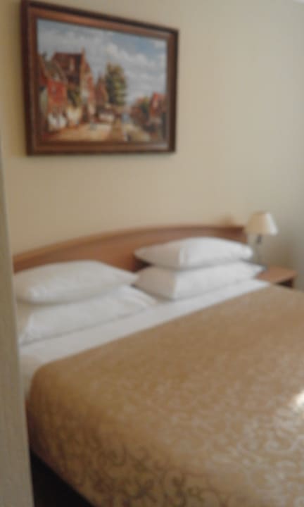 Zimmer Izmailovo Alfa Hotel