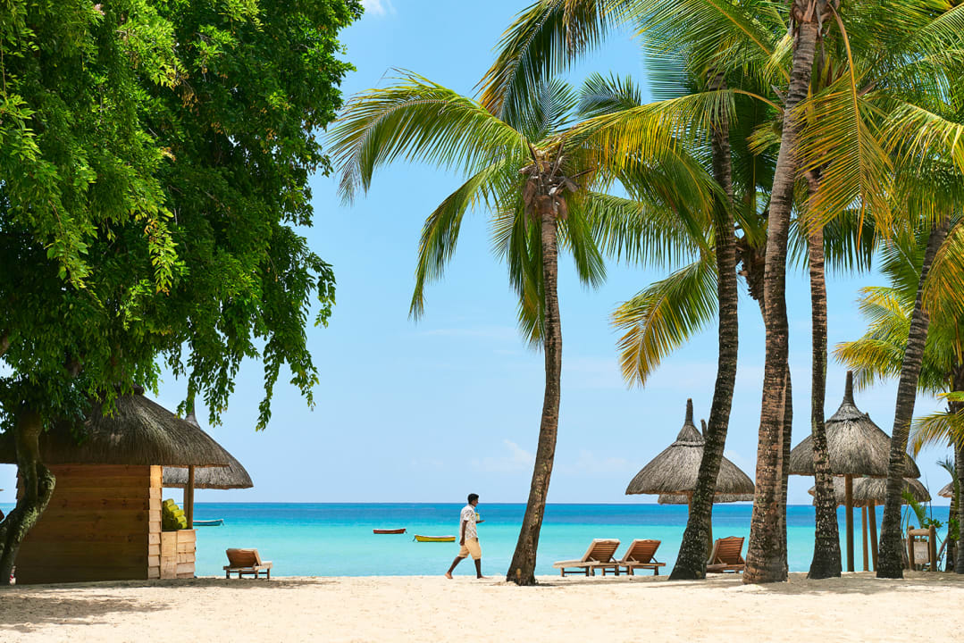 Strand The Ravenala Attitude