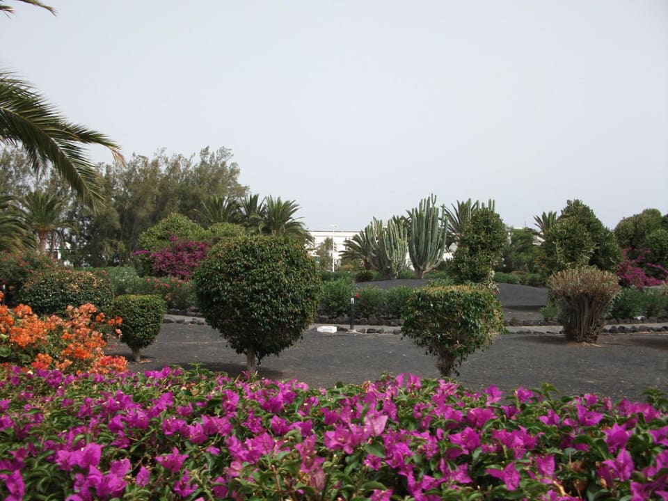 Gartenanlage Relaxia Olivina