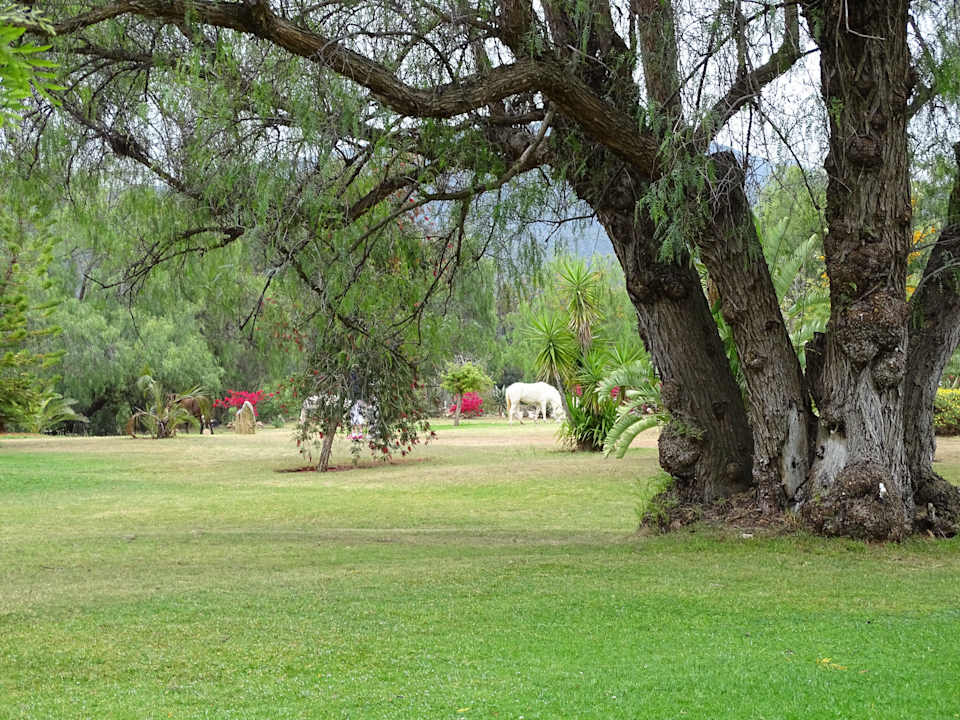 Weitläufige Gartenanlage Montana Guestfarm