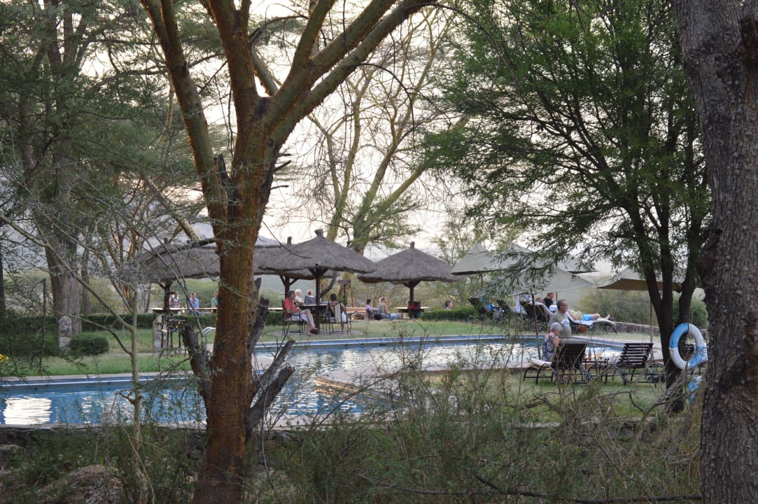 Blick auf den Pool Hotel Serengeti Sopa Lodge