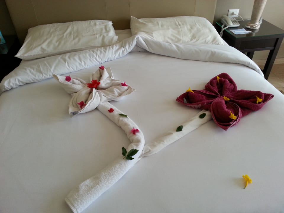 Jeden Tag andere Motive JAZ Fanara Resort