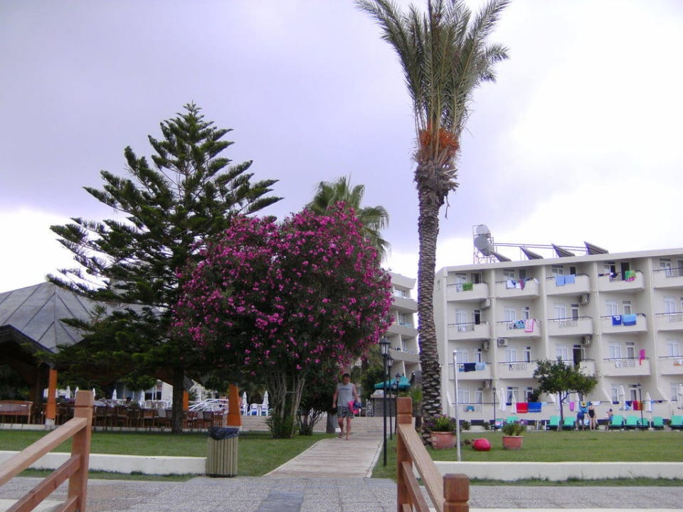 Nerton Nerton Hotel - Erwachsenenhotel ab 16 Jahren