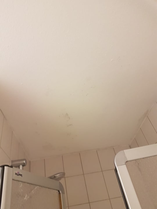 Zimmer Arthotel Ana Panorama