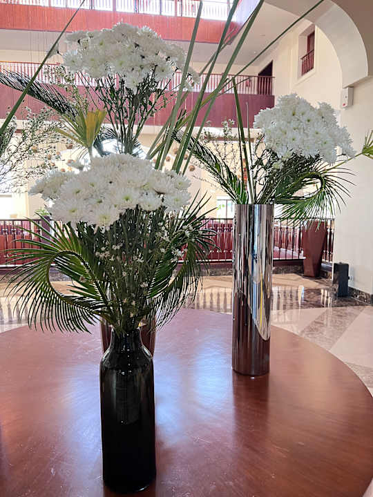 Lobby Steigenberger Aqua Magic