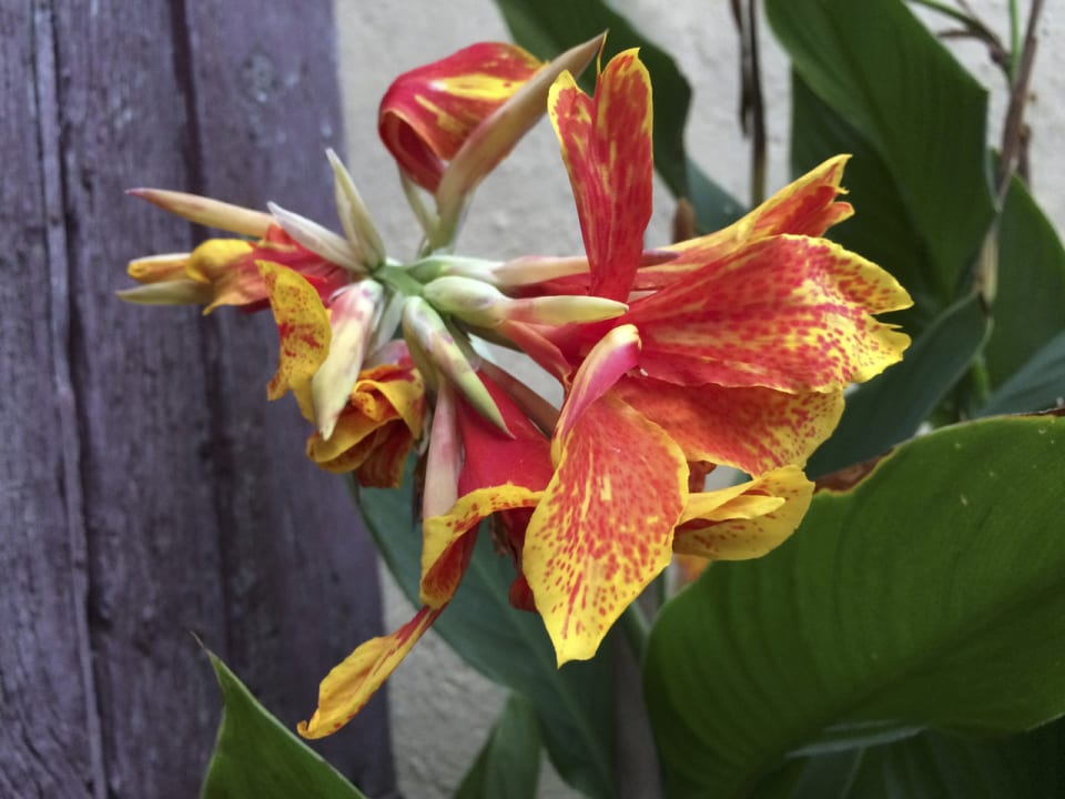 Gartenanlage Ventena Vecchia antico frantoio