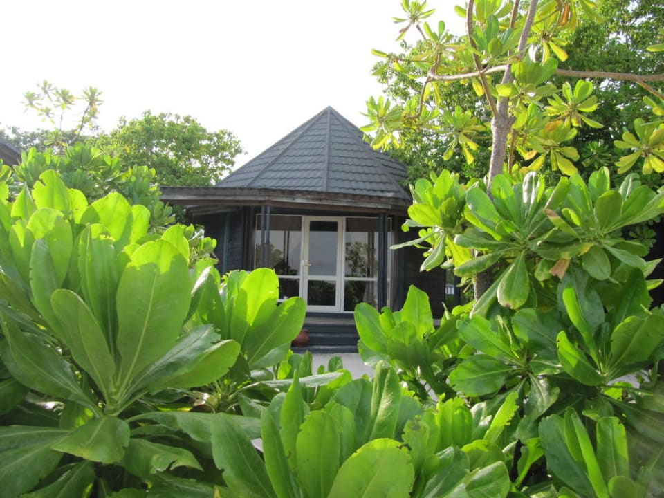 Villa 238 Kuredu Island Resort & Spa