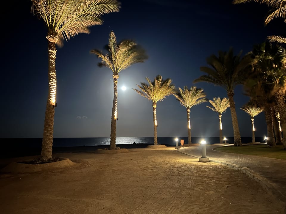 Strand Steigenberger Coraya Beach - Adults only