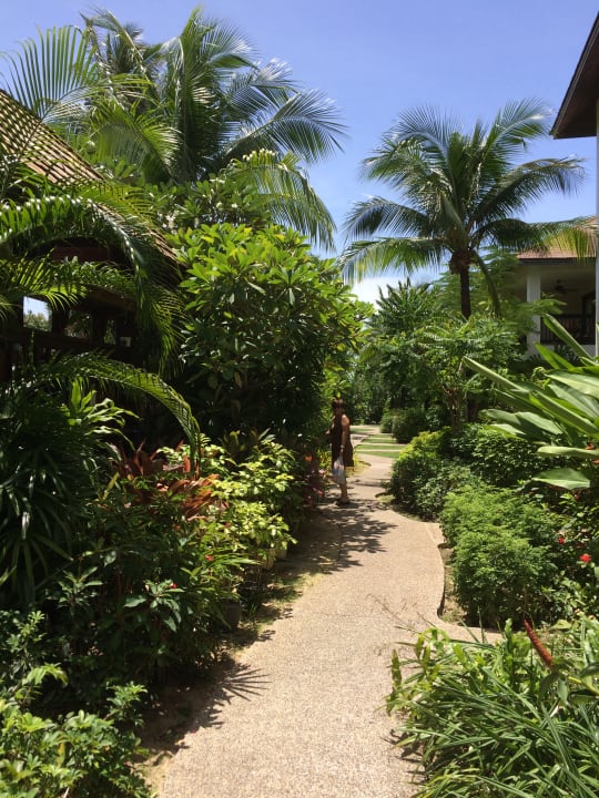 Gartenanlage Bandara Resort & Spa Samui