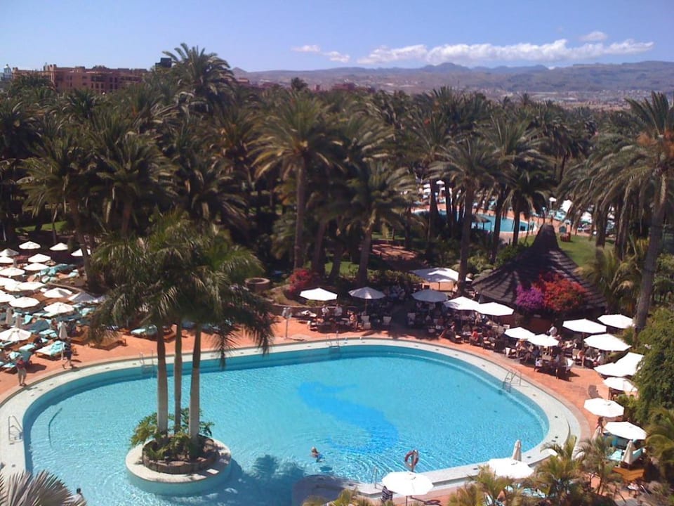 Die wunderschöne Poolanlage Seaside Hotel Palm Beach