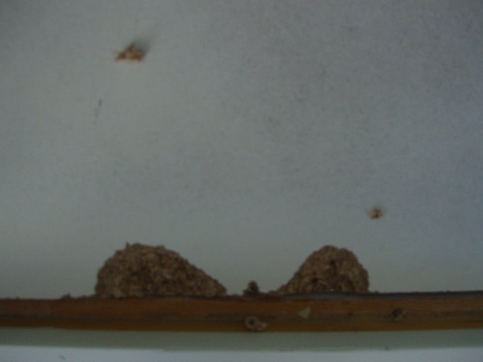 Zimmer Relaxia Olivina