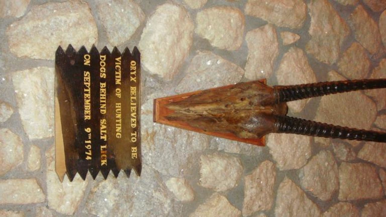 Жертва охотничьих собак Taita Hills Safari Resort & Spa