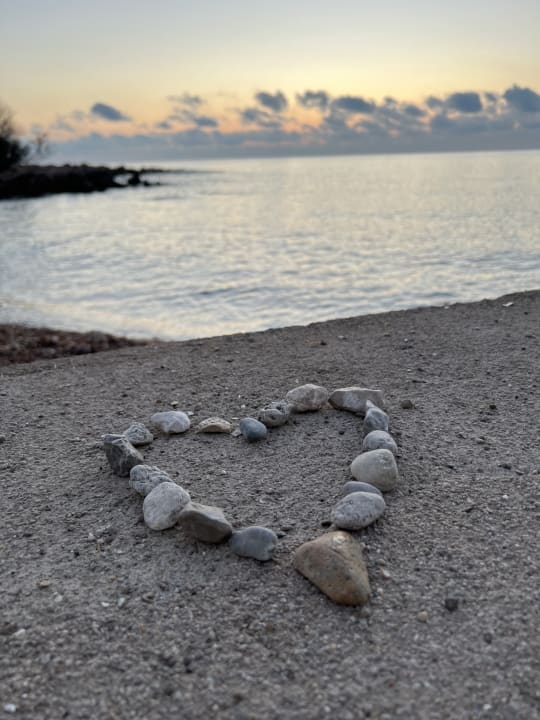 Strand Son Moll Sentits Hotel & Spa