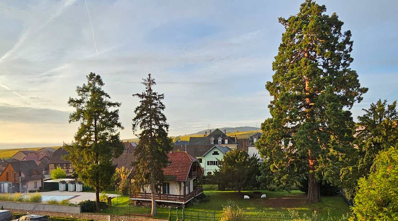 Ausblick Best Western Hotel Le Schoenenbourg