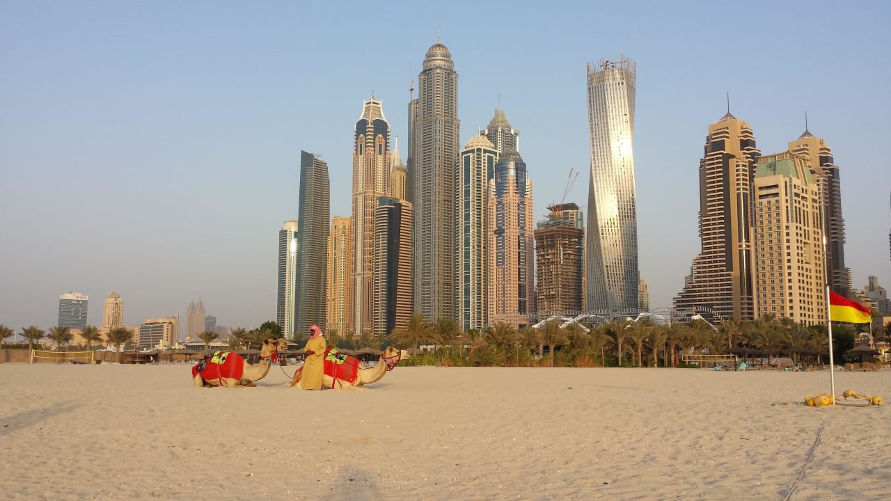 Kamele warten auf Touristen Le Royal Méridien Beach Resort & Spa Dubai