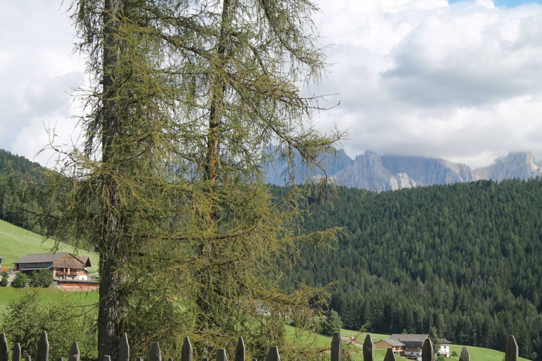 Blick zum Latemar vom Balkon aus Landgasthof Lärchenwald