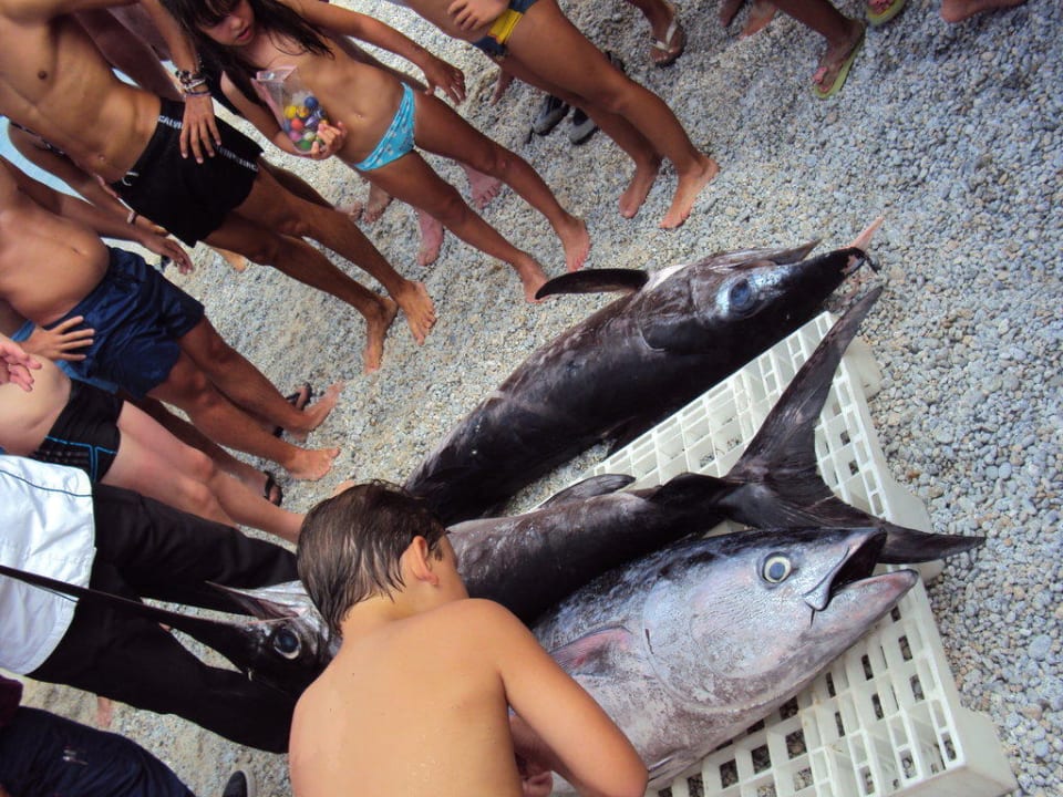Frischer gefangener Fisch am Hotelstrand  Aldiana Club Rocca Nettuno Calabria