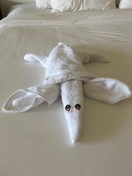 Zimmer Akumal Bay Beach & Wellness Resort