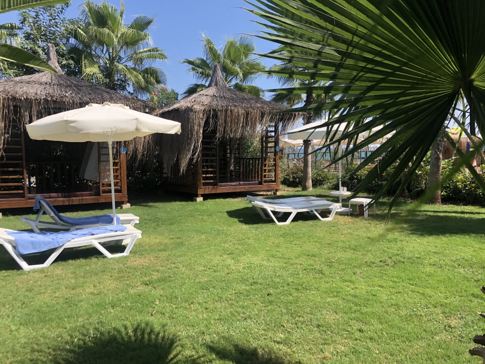 Gartenanlage Saturn Palace Resort Hotel