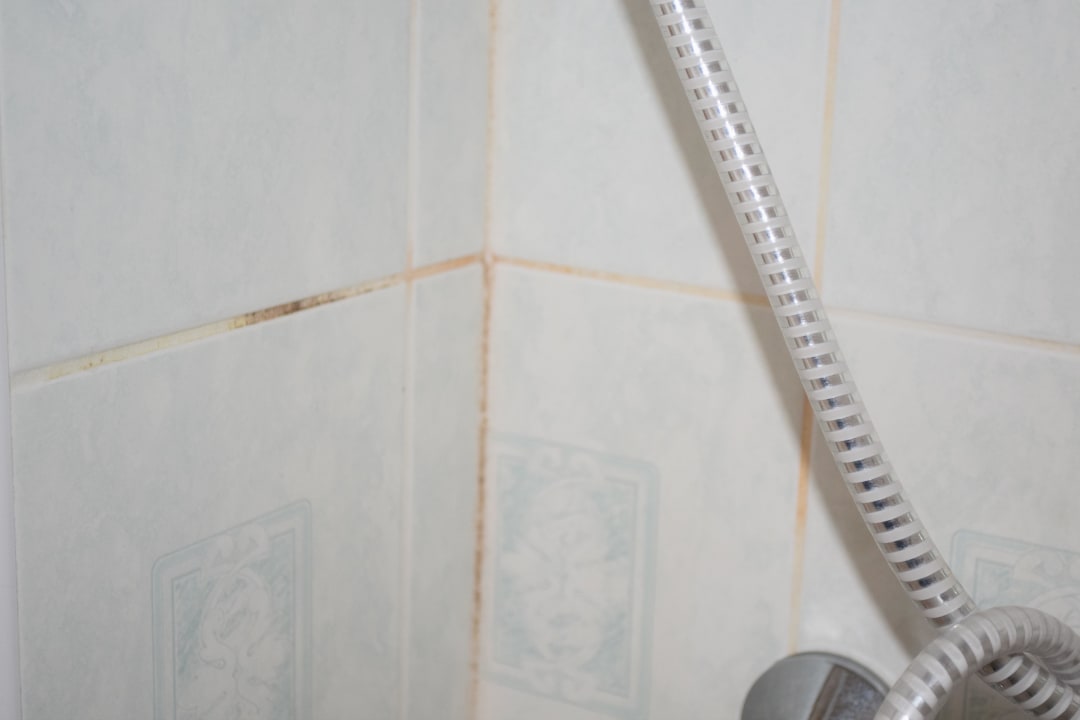 Hotel Bílý Hořec Hotel Bílý Hořec