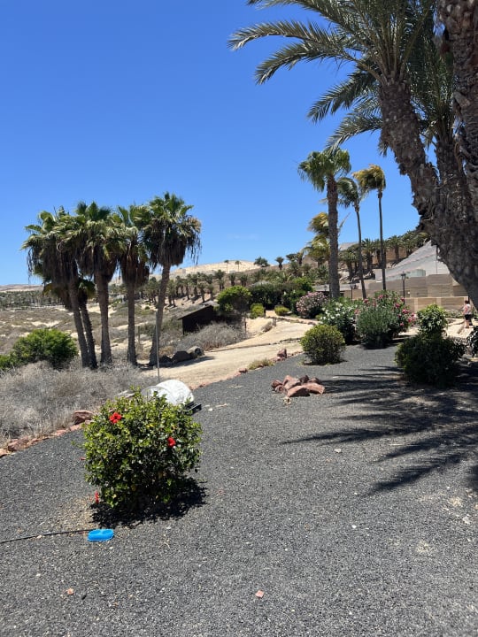 Gartenanlage SBH Hotel Taro Beach