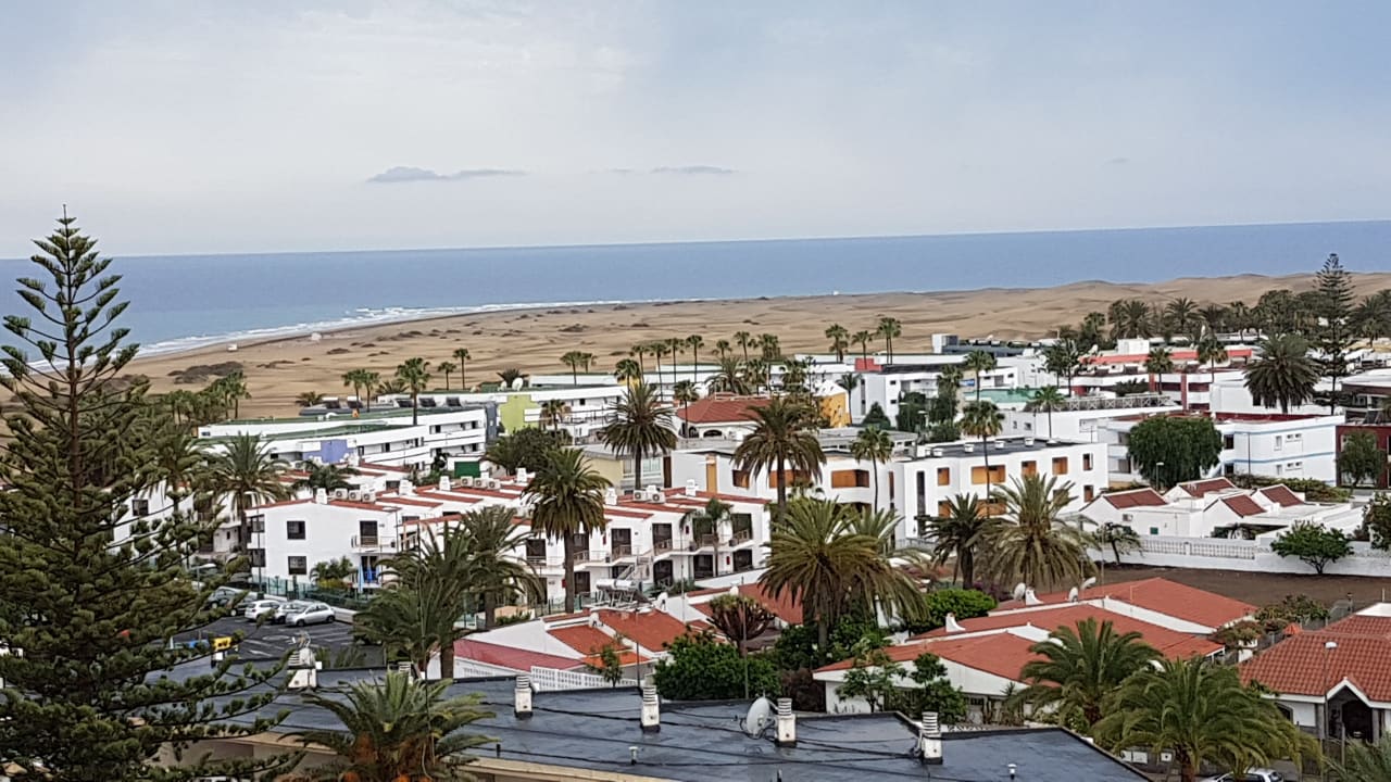 Ausblick Hotel Riu Palace Palmeras