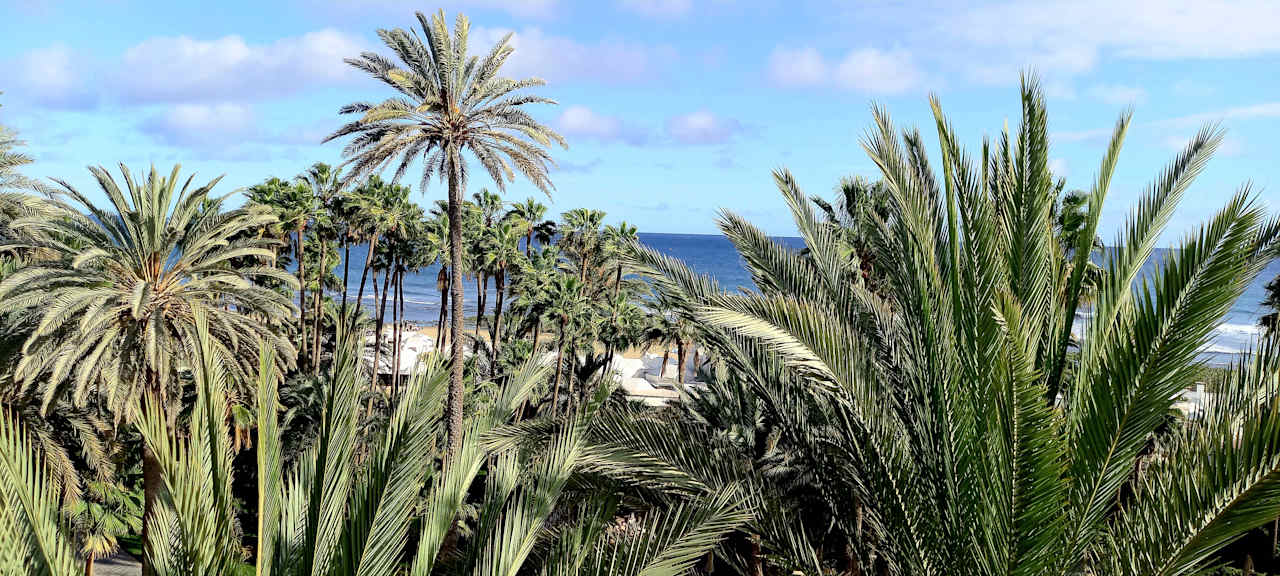 Ausblick Hotel Riu Palace Oasis