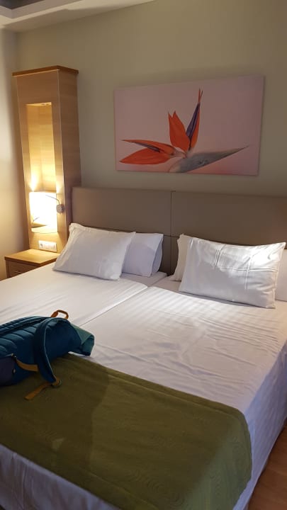 Zimmer Bull Costa Canaria & Spa - Adults only