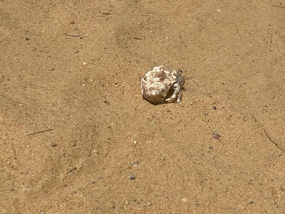 Strand Lazuli Hotel Marsa Alam