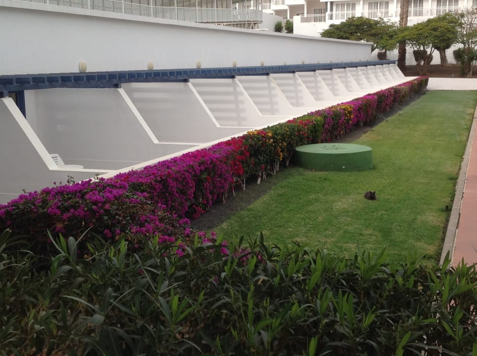 Gartenanlage Hotel Riu Paraiso Lanzarote