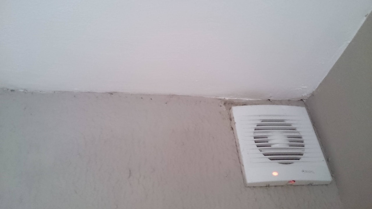 Toilette Friday Attitude