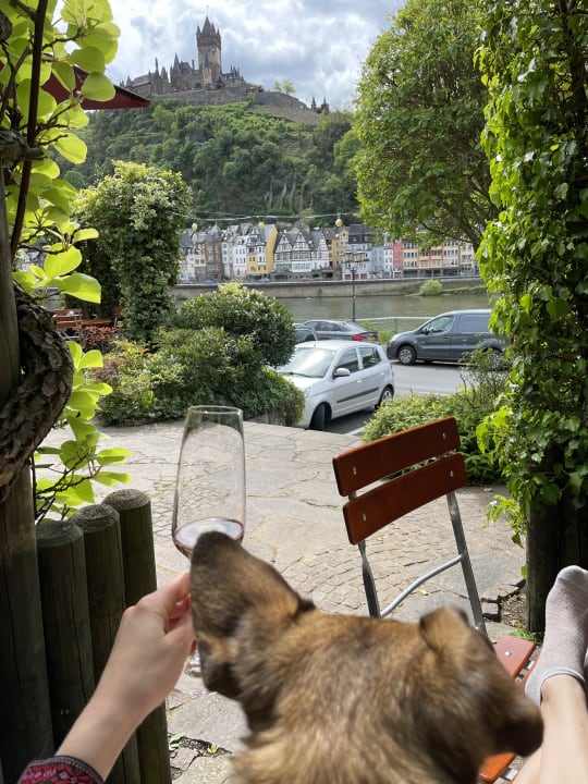 Außenansicht Moselstern Hotel Brixiade & Triton