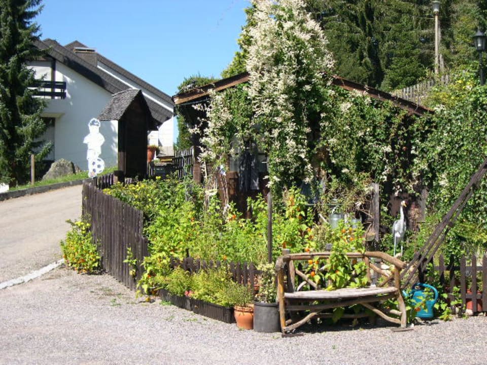 Gepflegter Garten ums Haus Haus Sonnhalde