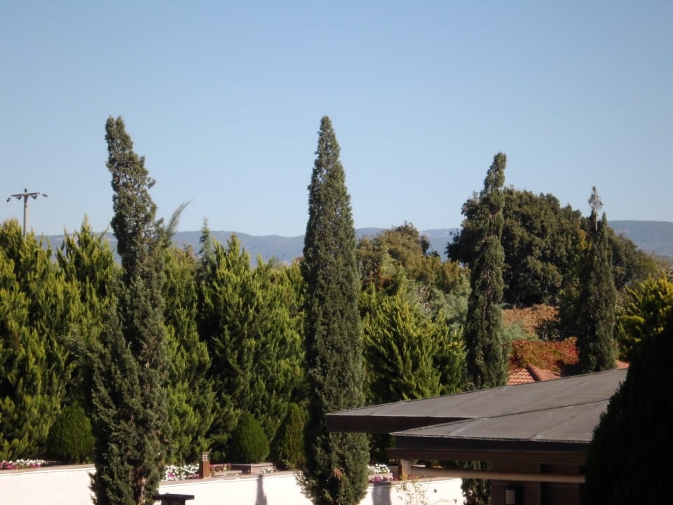 Ausblick vom Hoteleingang Calimera Serra Palace