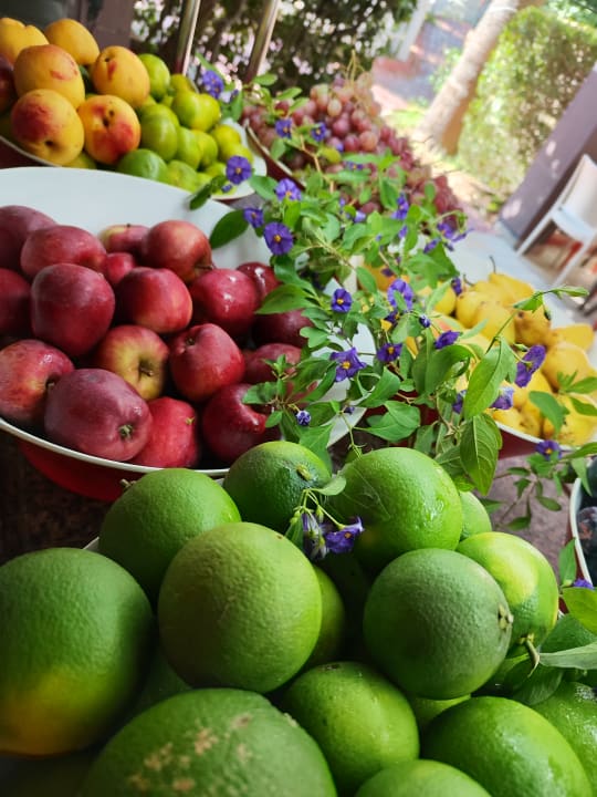 Gastro Hane Family Resort