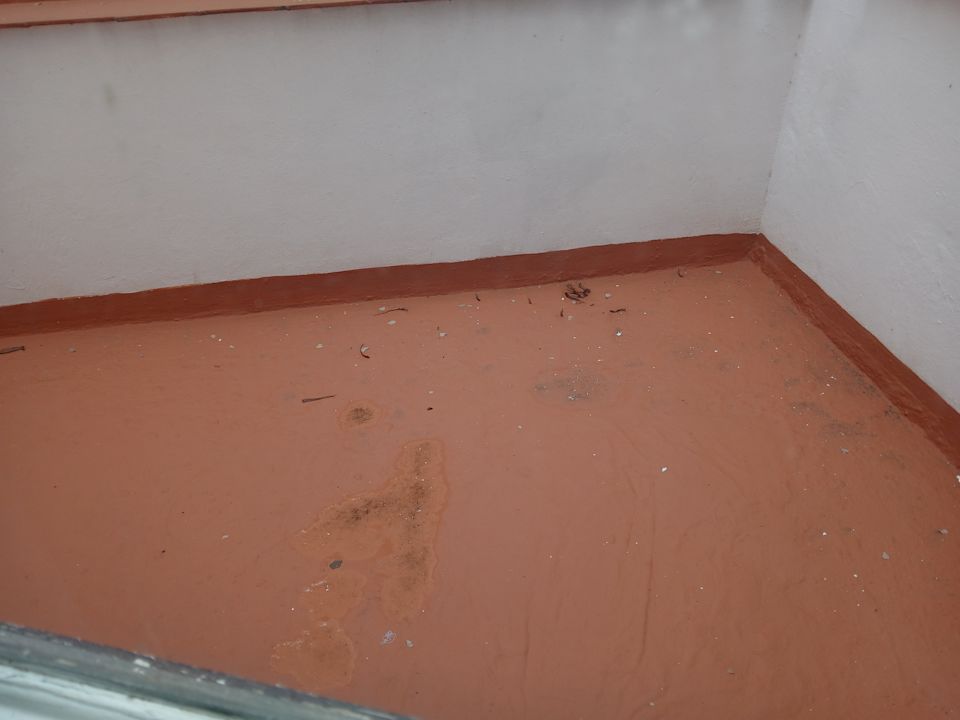 Zimmer Globales Acuario