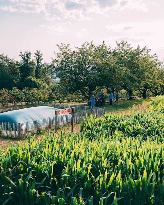 Sport & Freizeit Gut Hügle Erlebnisbauernhof