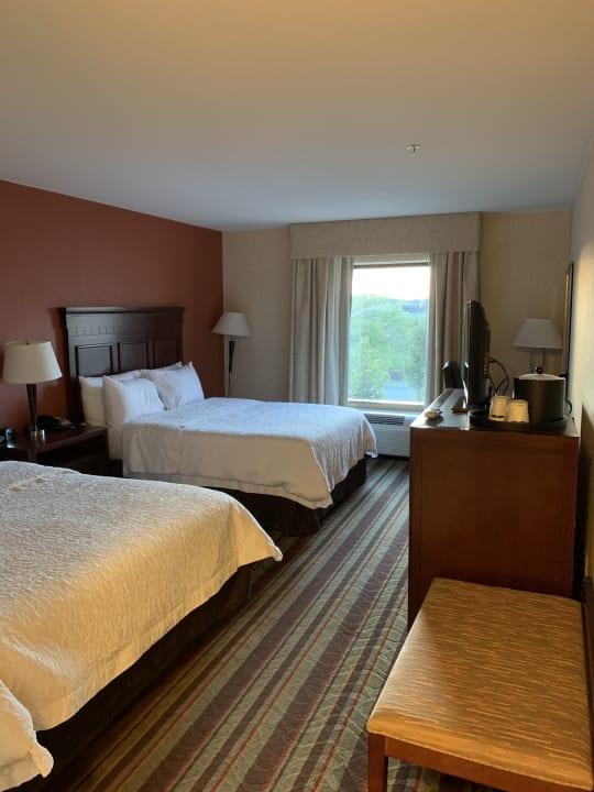 Zimmer Hampton Inn Detroit/Southgate