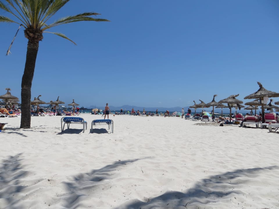 2 Bahía de Alcúdia Hotel & Spa