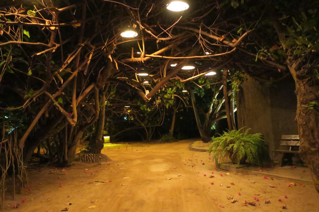 Gartenanlage Adaaran Select Meedhupparu Island Resort - Premium All Inclusive