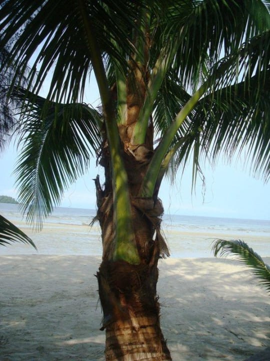 Blick zum Strand Centara Koh Chang Tropicana Resort